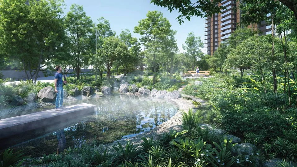 The forest mist pond, artist's impression