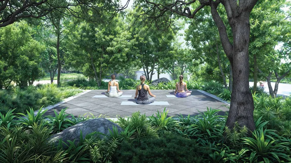 Yoga deck in the forest, artist's impression